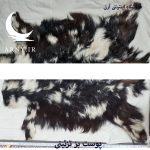 پوست بز  مشکی سفید قاطی کد B13/12 - Image 2