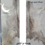 پوست بز  سفید خاکستری کد B13/7 - Image 2