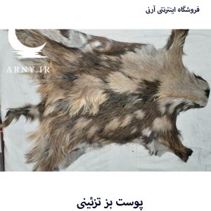 پوست بز