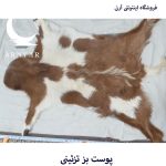 پوست بز  محشر قهوه ای سفید کد B13/3 - Image 2