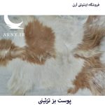 پوست بز  دورنگ پُرمو جذاب کد B13/11 - Image 2