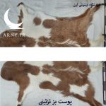 پوست بز  محشر قهوه ای سفید کد B13/3 - Image 3