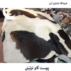 پوست گاو
