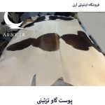 پوست گاو