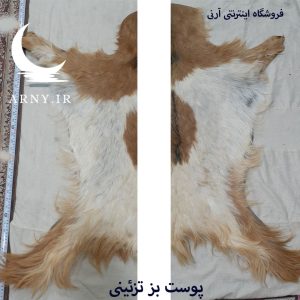 پوست بز