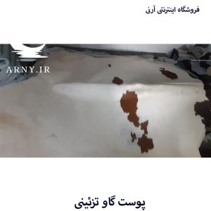 پوست گاو