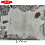 پوست بز سفید کد B113 - Image 3