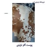 پوست گاو سفید قهوه ای  کد A18 - Image 2