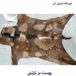 پوست بز قهوه ای خال خالی کد B13/2 - Image 3