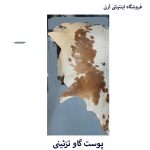 پوست گاو سفید قهوه ای  کد A18 - Image 3