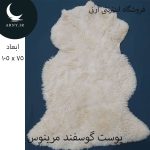 پوست گوسفند مرینوس