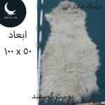پوست گوسفند کد Z4