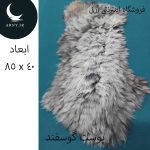 پوست گوسفند کد Z3