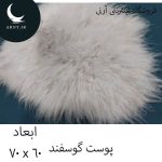 پوست گوسفند کد Z6