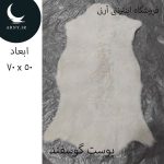 پوست گوسفند