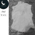 پوست گوسفند کوچک