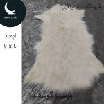 پوست گوسفند کوچک