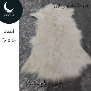 پوست گوسفند کوچک
