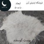 پوست گوسفند کوچک