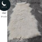 پوست گوسفند کوچک