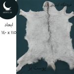 پوست بز بزرگ محشر کد BBB3