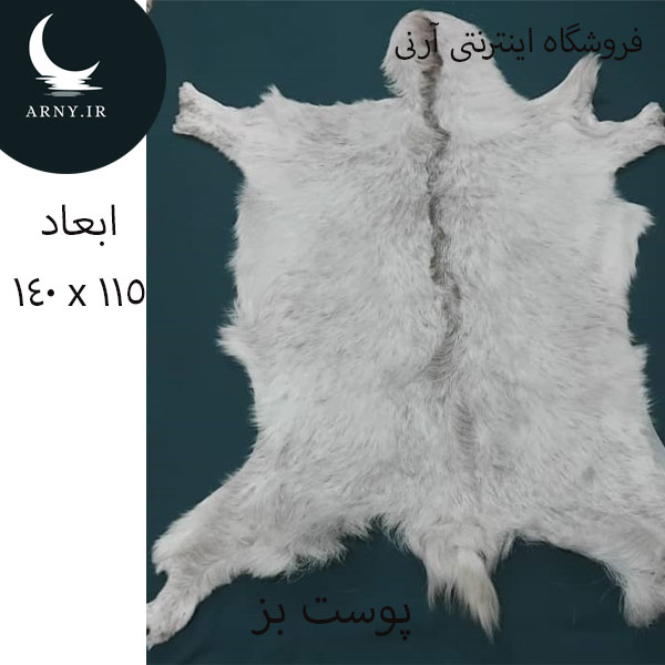 1 پوست بز بزرگ محشر کد BBB3