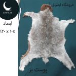 پوست بز زیبا کد BBB2