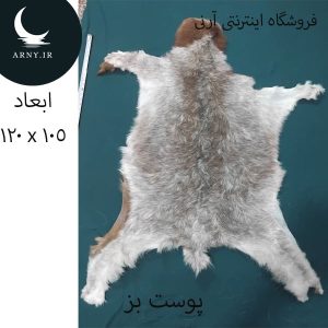 پوست بز زیبا کد BBB2