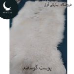 پوست گوسفند کد Z2