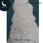 پوست گوسفند کد Z9