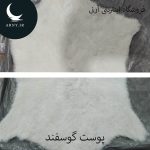 پوست گوسفند