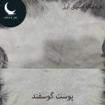 پوست گوسفند کوچک
