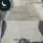 پوست گوسفند کوچک