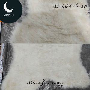 پوست گوسفند کوچک