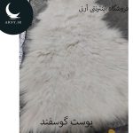 پوست گوسفند کوچک