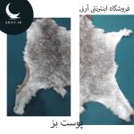 پوست بز زیبا کد BBB2