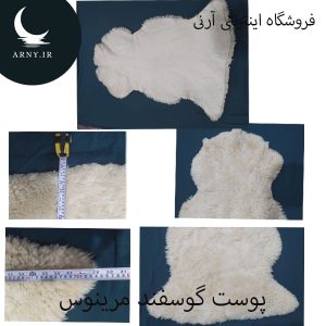 مرینوس استرالیایی