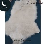 پوست گوسفند کد Z2