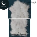 پوست گوسفند کد Z5 - Image 2