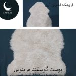 مرینوس استرالیایی