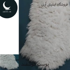 پوست گوسفند کد Z9