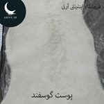 پوست گوسفند