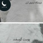 پوست گوسفند کوچک