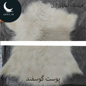 پوست گوسفند کوچک