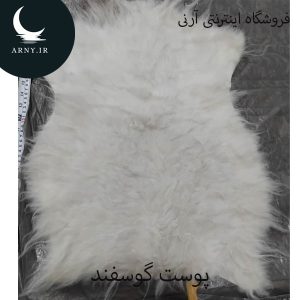 پوست گوسفند کوچک