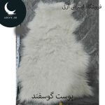 پوست گوسفند کوچک