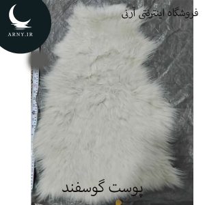 پوست گوسفند کوچک
