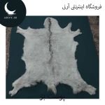 پوست بز بزرگ محشر کد BBB3