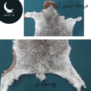 پوست بز زیبا کد BBB2
