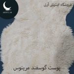 مرینوس استرالیایی